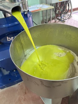 Olio di Oliva 500ml